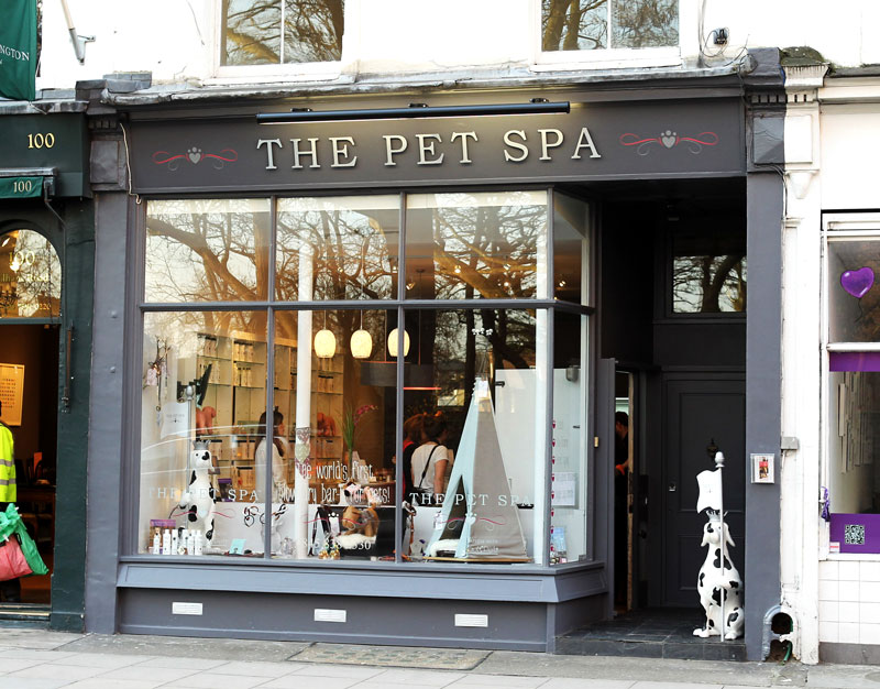 Pet salon and store spa